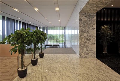 Baldosas de mármol para villa de lujo