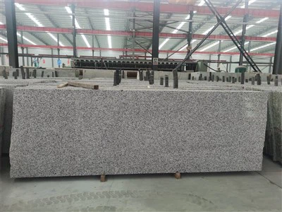 Venta al por mayor Encimeras de granito blancas